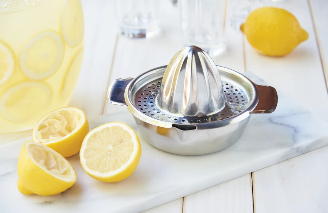 Fox Run Stainless Steel Juicer Press With Bowl